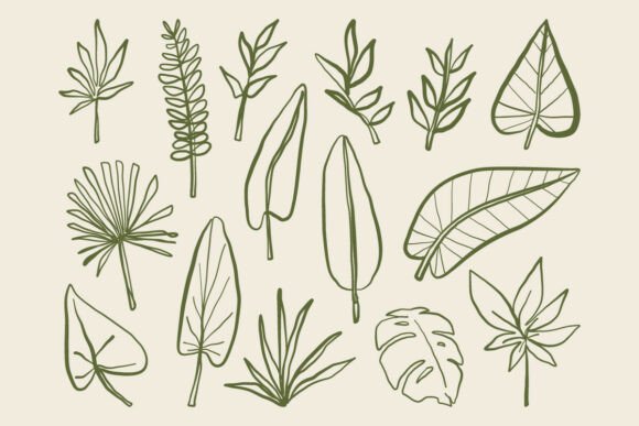 Botanical Leaf Doodle Vector Set: Graphics & Illustrations