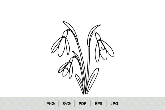 Snowdrop Flower Line Art Design: Graphics & Illustrations